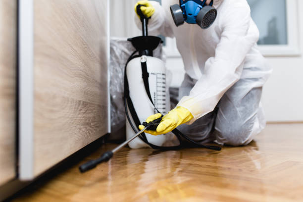  Hillsboro, KS Pest Control Pros