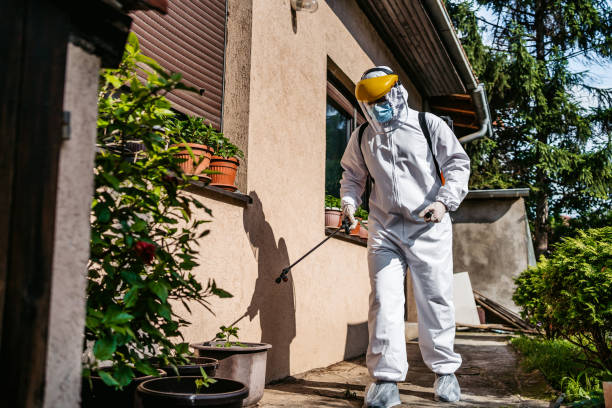 Best Ant Control Services  in Hillsboro, KS