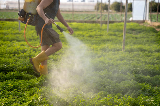 Best Pest Inspection Near Me  in Hillsboro, KS