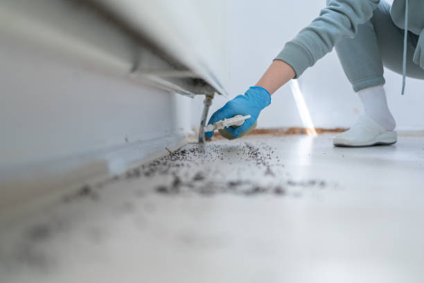Best Exterminator Services  in Hillsboro, KS