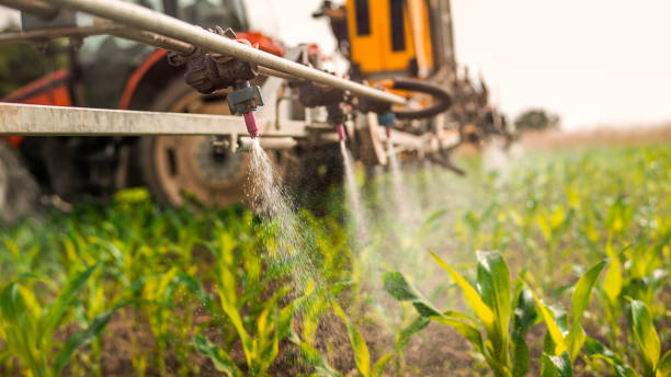 Best Mosquito Control Services  in Hillsboro, KS