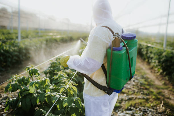 Trusted Hillsboro, KS Pest Control Experts